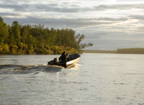 A small boat travels in the middle of a river with wooded riverbanks