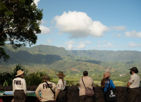 Five people looking out at the mountains