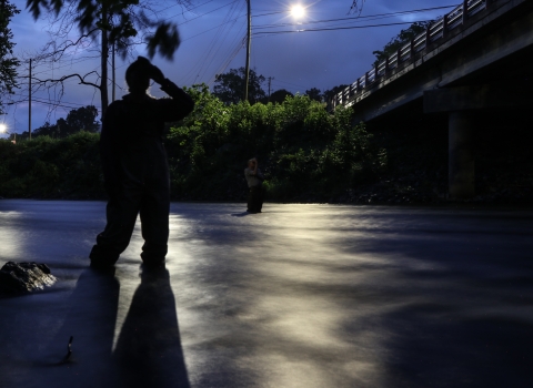 Two people standing in a river at night, looking up at a bridge