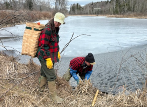 Two trappers stand near a waterway setting a trap for target furbearer species