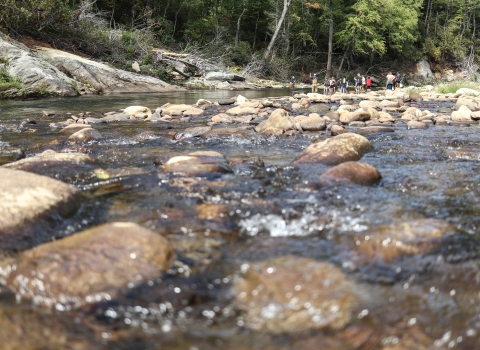 Group of students in a rocky river