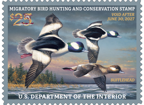 2026-2027 Federal Duck Stamp by James Hautman