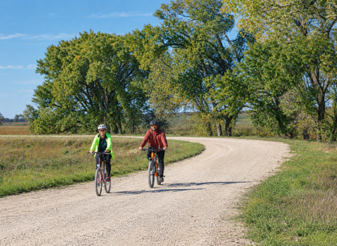 Two cyclists travel along a winding, tree-lined gravel road